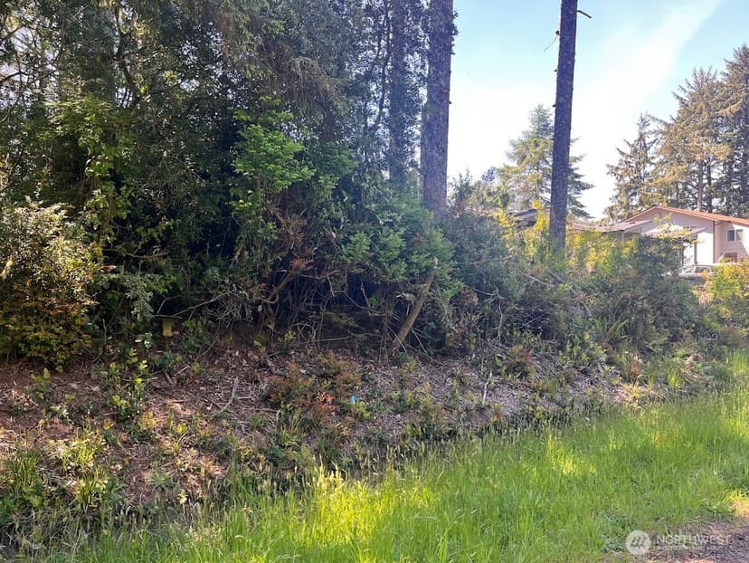 Property photo for 559 Sunset Avenue NE, Ocean Shores