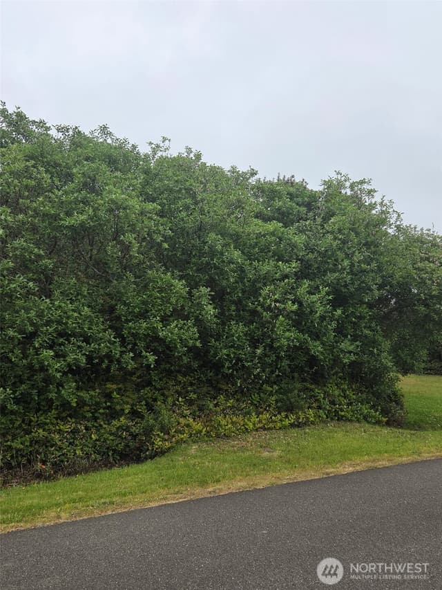 Property photo for 392 S Wynoochee Drive SW, Ocean Shores photo 3