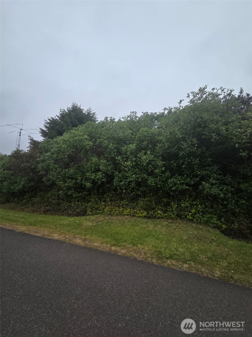 Property photo for 392 S Wynoochee Drive SW, Ocean Shores photo 4