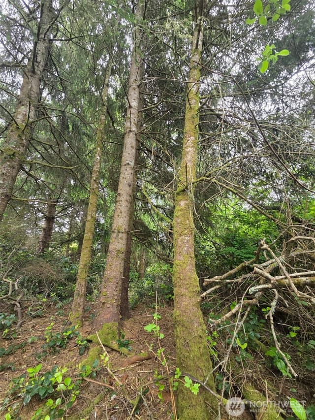 Property photo for 624 Wolf Ct SE, Ocean Shores photo 3