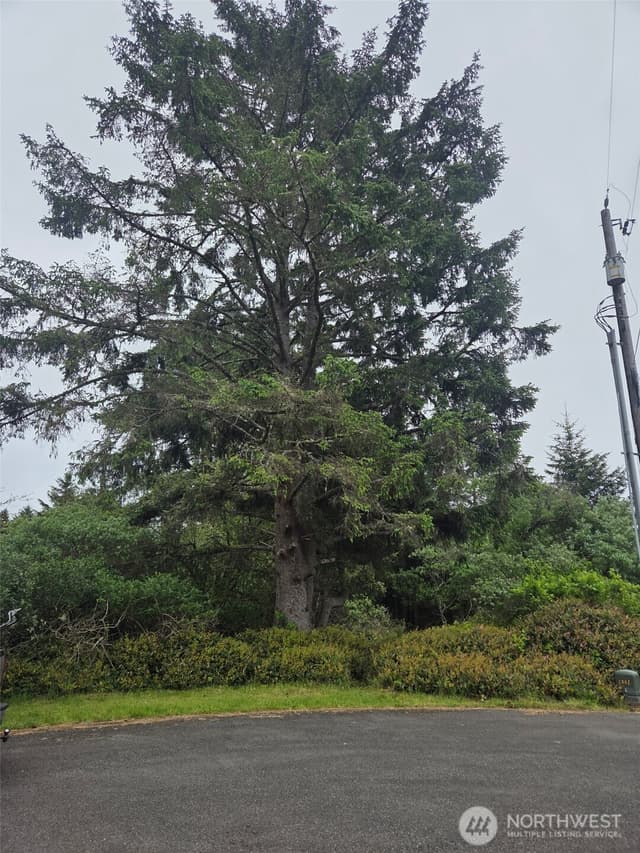 Property photo for 624 Wolf Ct SE, Ocean Shores photo 2