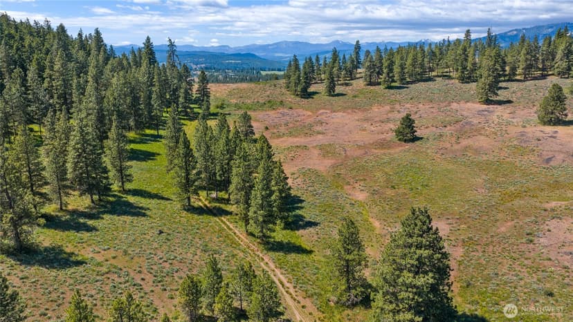Property photo for 1371 Bettas Road, Cle Elum photo 34