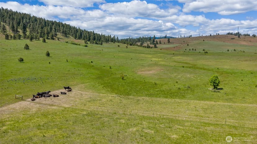 Property photo for 1371 Bettas Road, Cle Elum photo 28