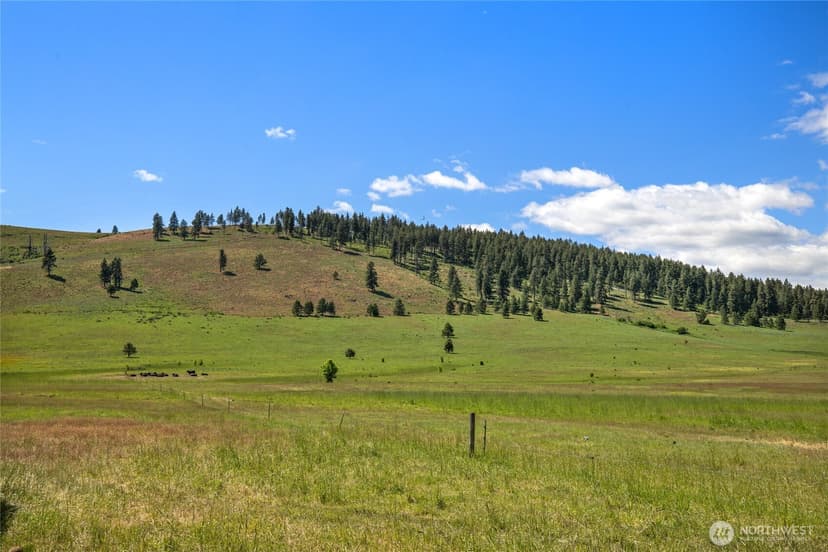 Property photo for 1371 Bettas Road, Cle Elum photo 30