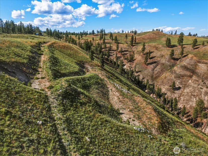 Property photo for 6575 Union Valley Road, Chelan photo 17
