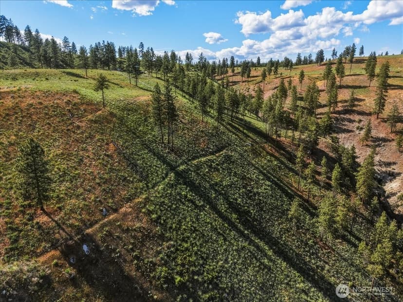 Property photo for 6575 Union Valley Road, Chelan photo 12