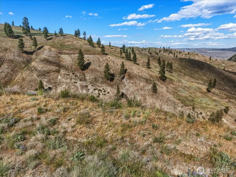 Property photo for 6575 Union Valley Road, Chelan photo 18