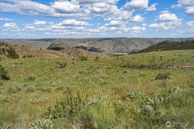 Property photo for 6575 Union Valley Road, Chelan photo 3