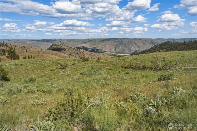 Property photo for 6575 Union Valley Road, Chelan photo 3