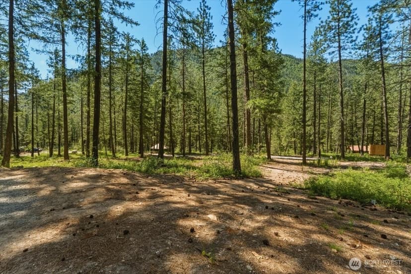 Property photo for 2350 First Creek Road, Chelan photo 30
