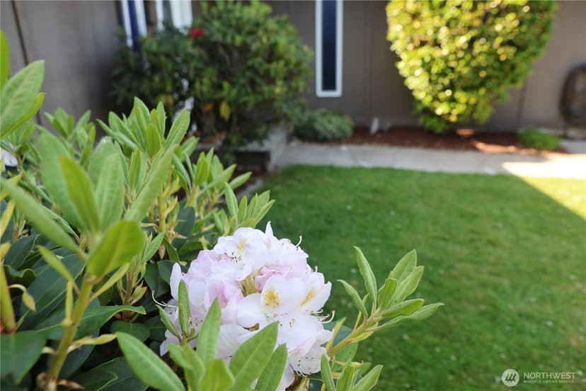 Property photo for 604 23rd Street NW, Puyallup photo 20