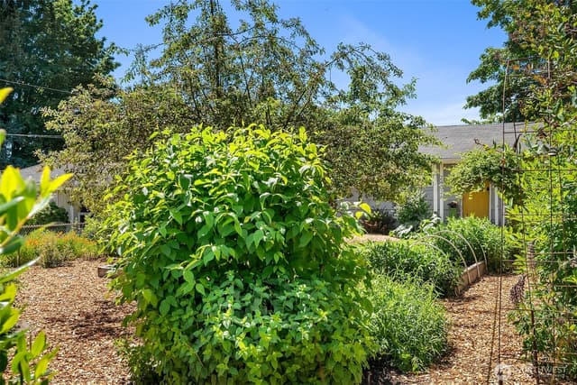 Property photo for 24026 54th Avenue W, Mountlake Terrace photo 4