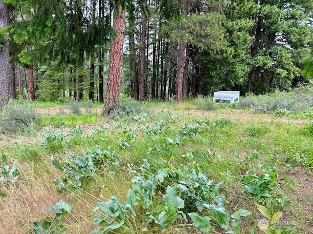 Property photo for 15425 Chumstick Highway, Leavenworth photo 4