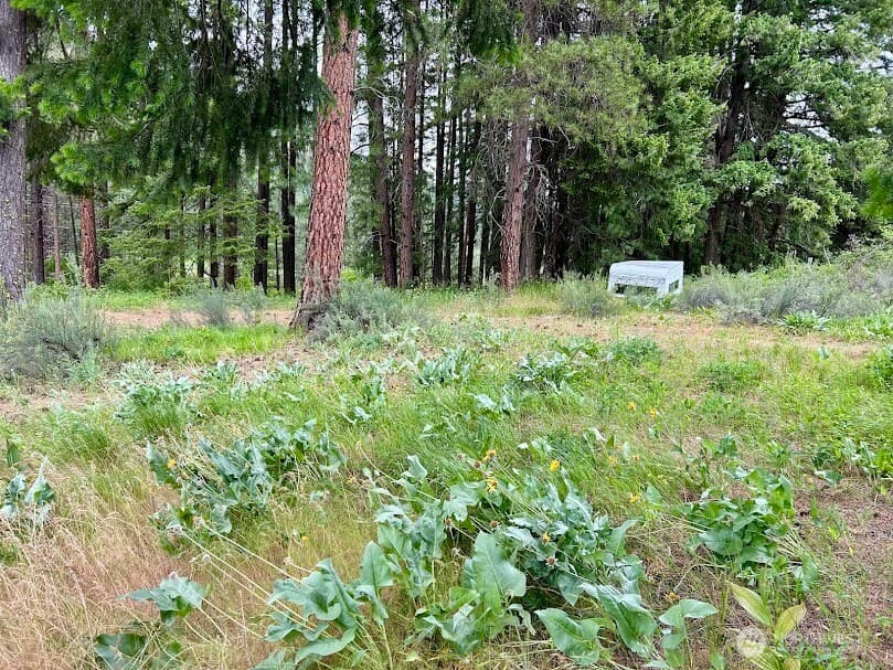Property photo for 15425 Chumstick Highway, Leavenworth photo 4