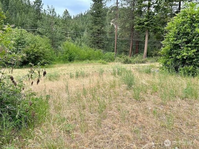 Property photo for 15425 Chumstick Highway, Leavenworth photo 3