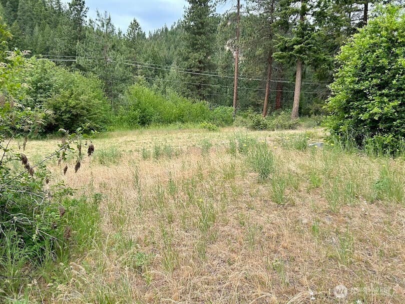 Property photo for 15425 Chumstick Highway, Leavenworth photo 3