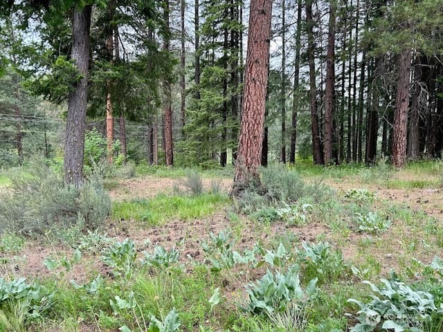 Property photo for 15425 Chumstick Highway, Leavenworth photo 5