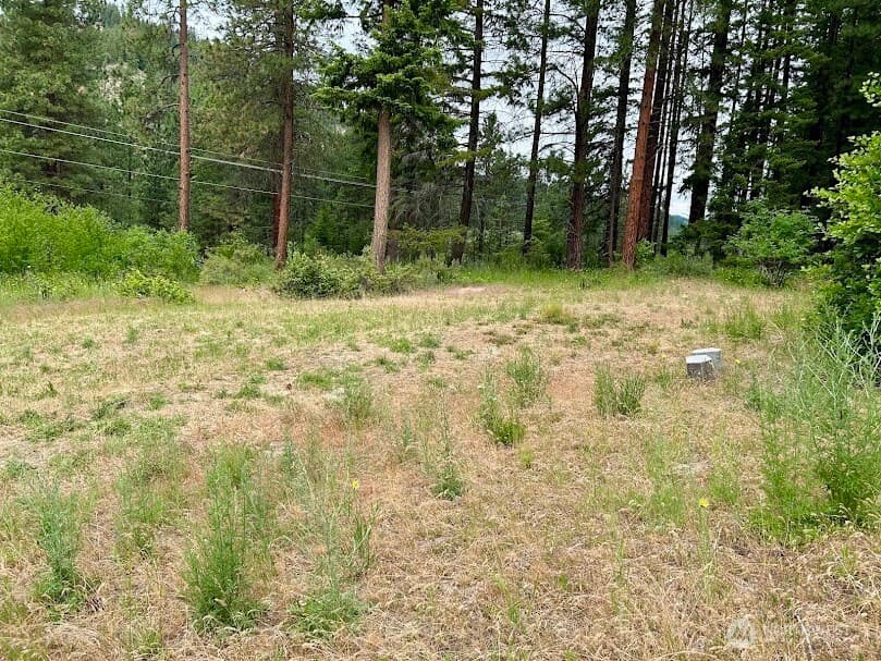 Property photo for 15425 Chumstick Highway, Leavenworth photo 7