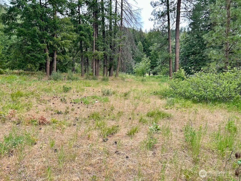 Property photo for 15425 Chumstick Highway, Leavenworth photo 8