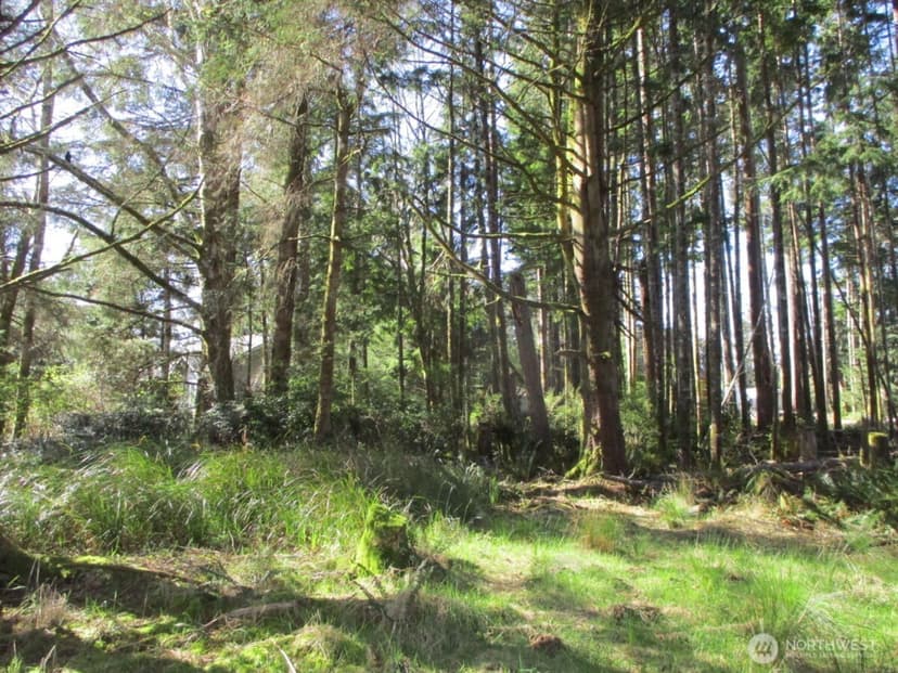 Property photo for 111 Olympic View Avenue NE, Ocean Shores photo 6