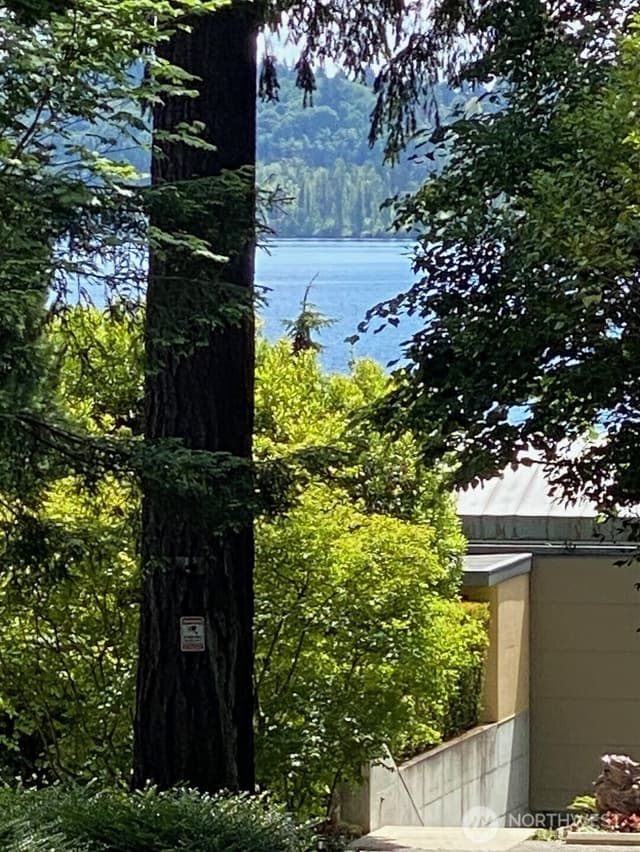 Property photo for 9100 Lake Washington Boulevard NE, Bellevue photo 4