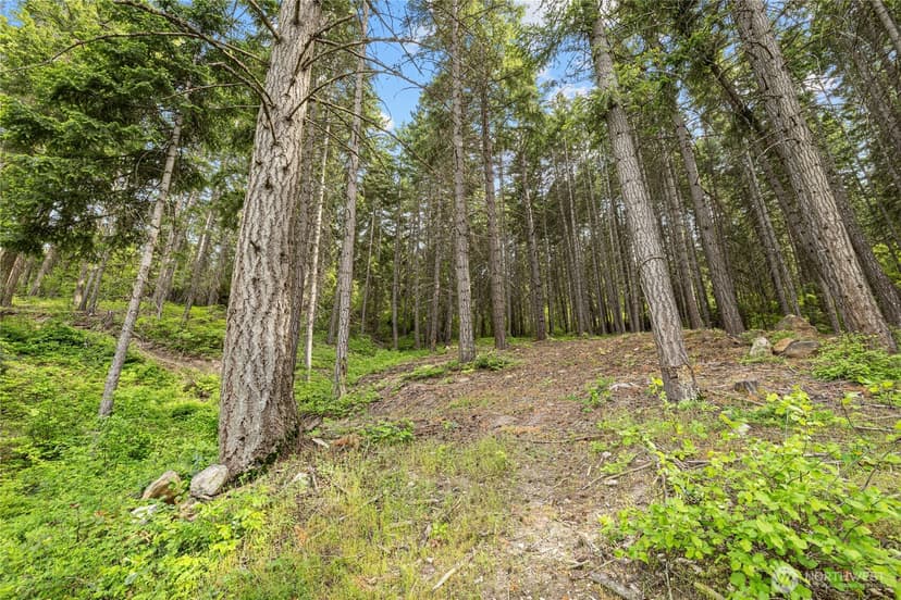 Property photo for 1771 Timber Mountain Loop, Cle Elum photo 38