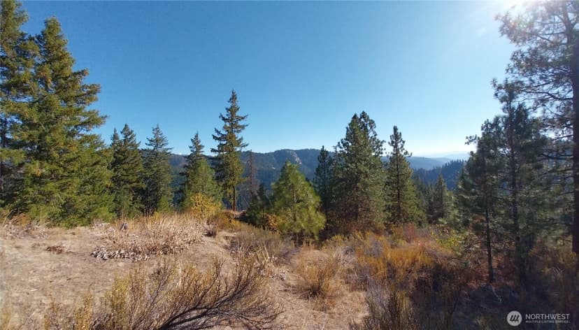 Property photo for 11685 Sunitsch Canyon Rd, Leavenworth photo 6