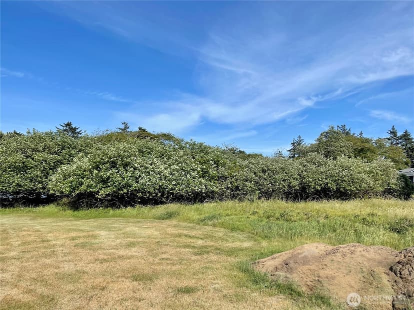 Property photo for 301 Octopus Avenue NE, Ocean Shores photo 14