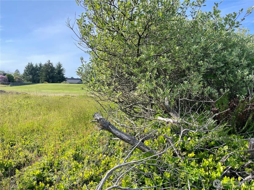 Property photo for 301 Octopus Avenue NE, Ocean Shores photo 9