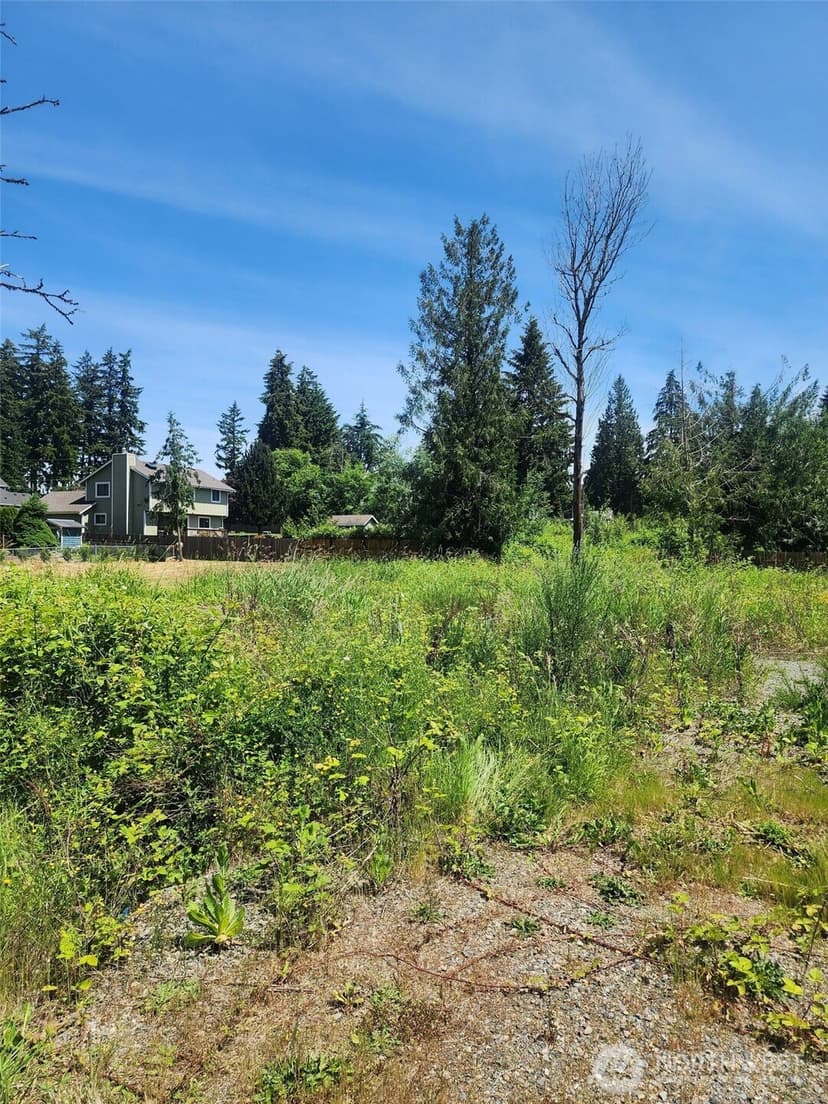 Property photo for 376 XX 47th Avenue S, Auburn photo 6