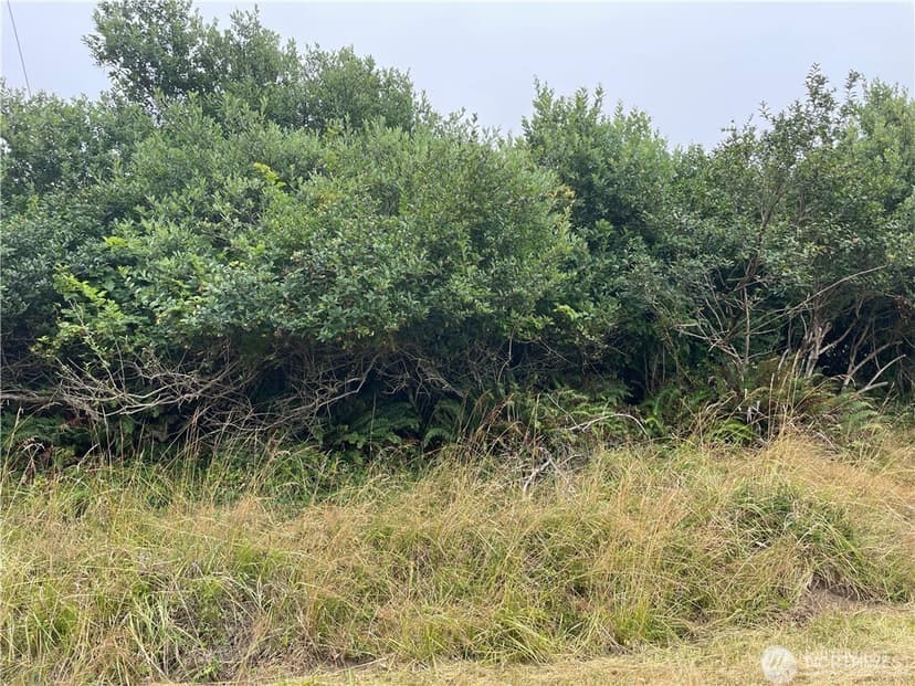 Property photo for 618 Canal Drive NE, Ocean Shores photo 6