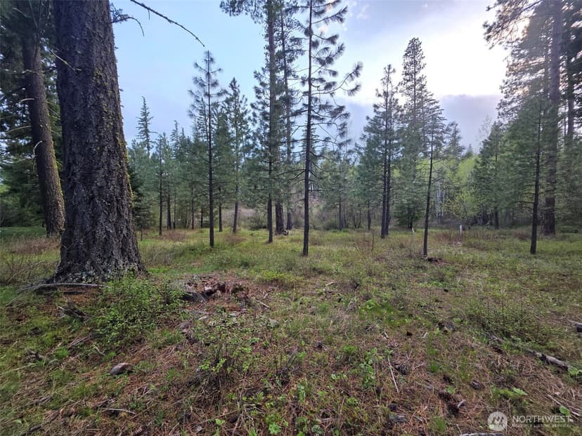 Property photo for 15 Lot Old Grove Trail, Cle Elum