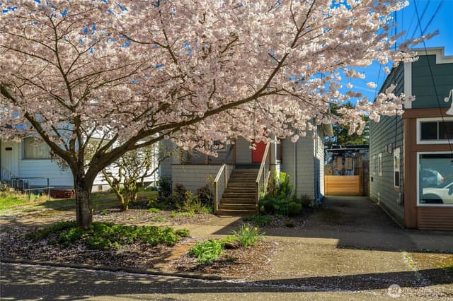Property photo for 906 19th Avenue, Seattle photo 4