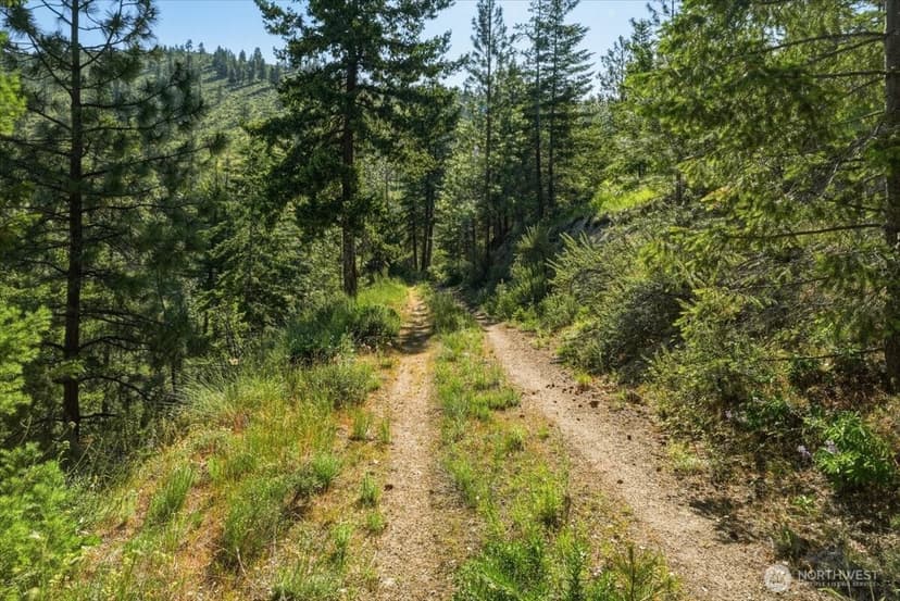 Property photo for 25 Yarrow Place, Chelan photo 19