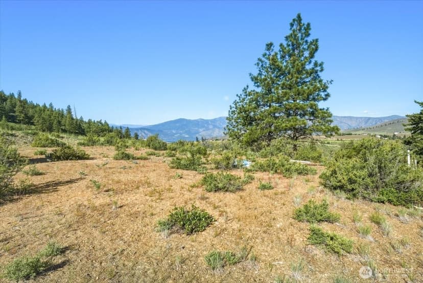 Property photo for 25 Yarrow Place, Chelan photo 27