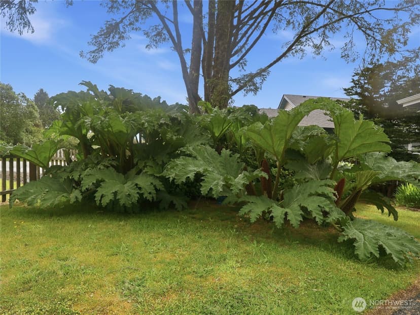 Property photo for 165 N Narwhal Loop NW, Ocean Shores photo 37