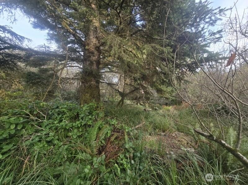 Property photo for 570 NE Puffin Avenue, Ocean Shores photo 4