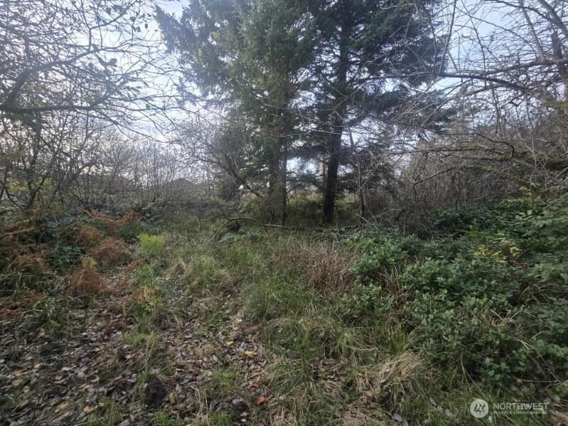 Property photo for 570 NE Puffin Avenue, Ocean Shores photo 2