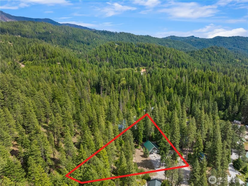 Property photo for 21005 Lower Chiwawa River Road, Leavenworth photo 31