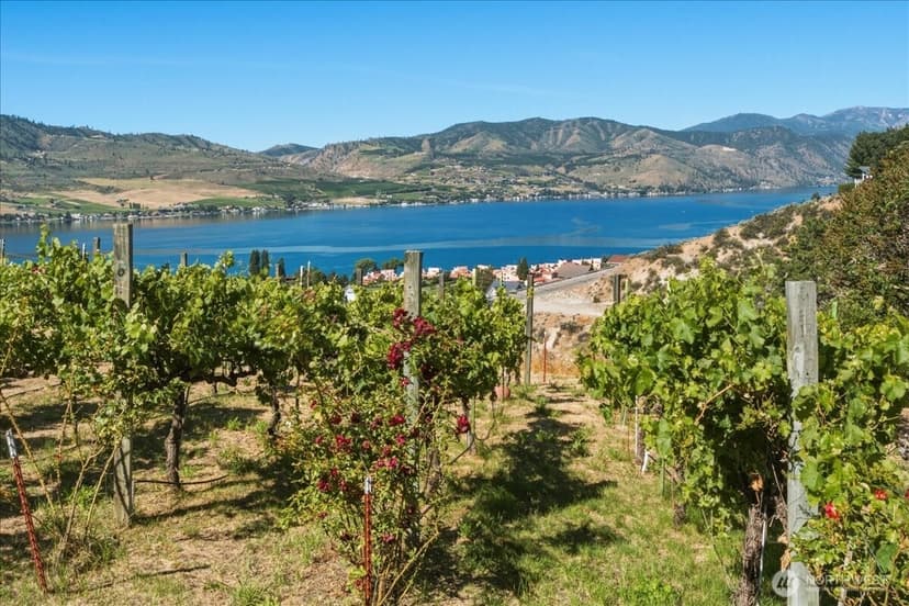 Property photo for 104 Orchard View Drive, Chelan photo 30