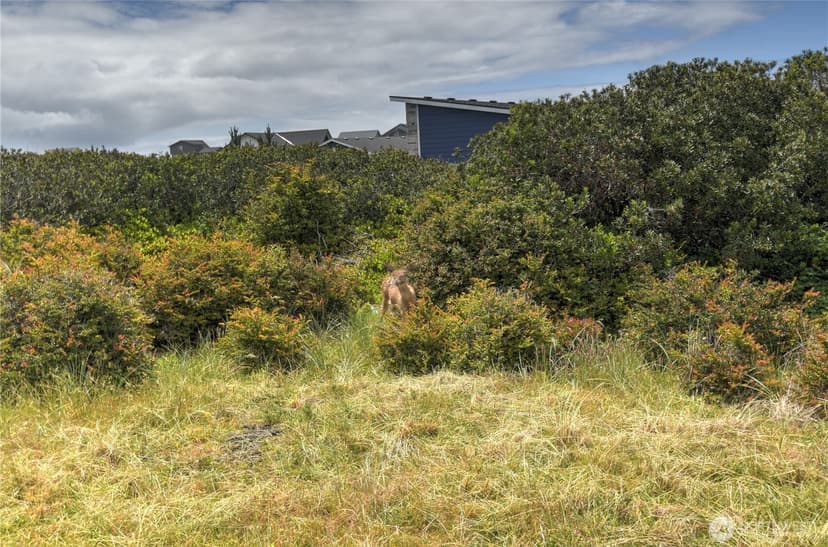 Property photo for 1205 Fairwood Drive SW, Ocean Shores photo 37