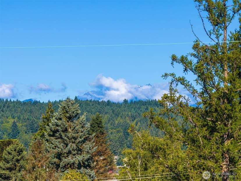 Property photo for 18420 Torgeson Avenue NE, Poulsbo photo 34