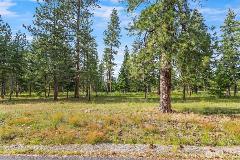 Property photo for 51 Domerie Park Loop, Cle Elum photo 6