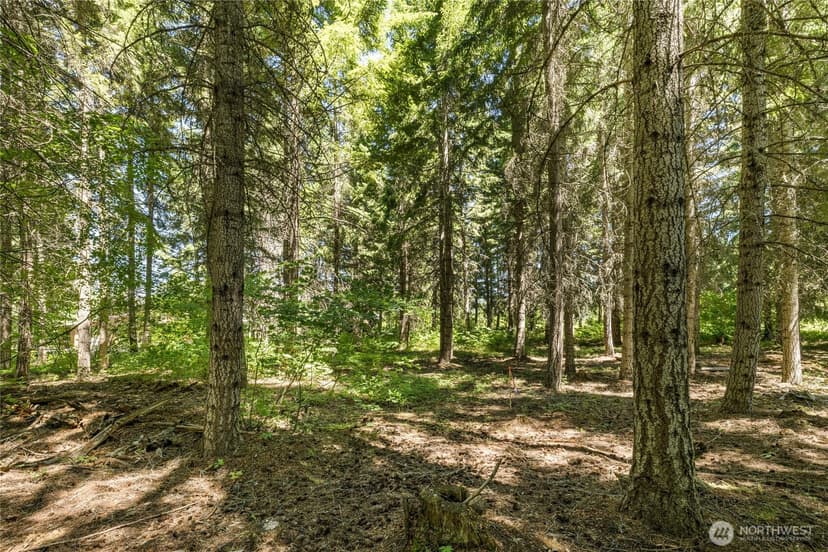 Property photo for 30 Scatter Creek Loop, Cle Elum photo 6
