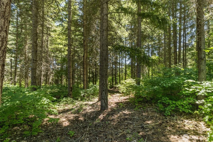 Property photo for 30 Scatter Creek Loop, Cle Elum photo 5