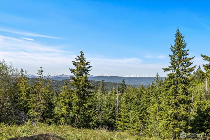 Property photo for 0 XXXX Stone Ridge Drive, Cle Elum photo 2