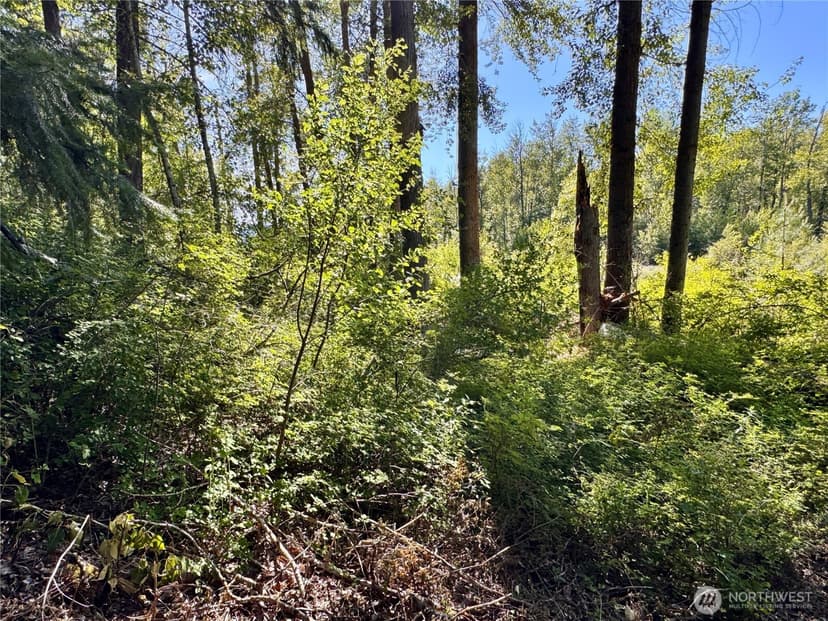Property photo for 0 Ridgewater Drive, Cle Elum photo 25