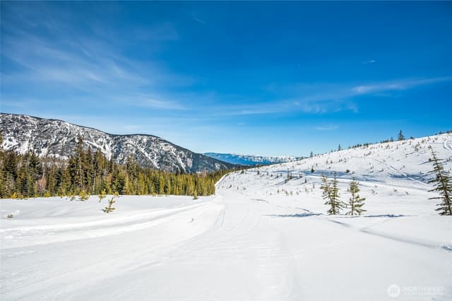 Property photo for 1 Mountain Club FS Rd 6930, Leavenworth photo 3