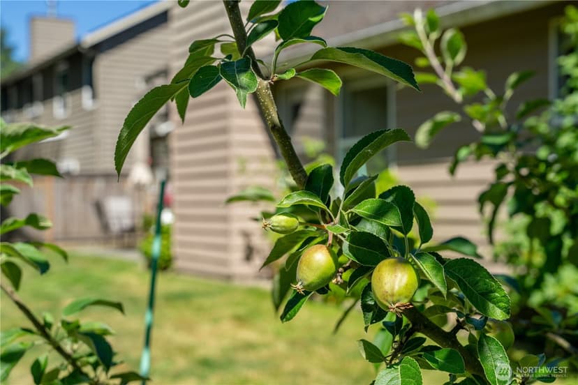 Property photo for 13810 56th Drive SE, Everett photo 30