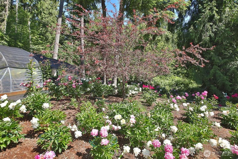 Property photo for 6545 Cultus Bay Road, Clinton photo 35